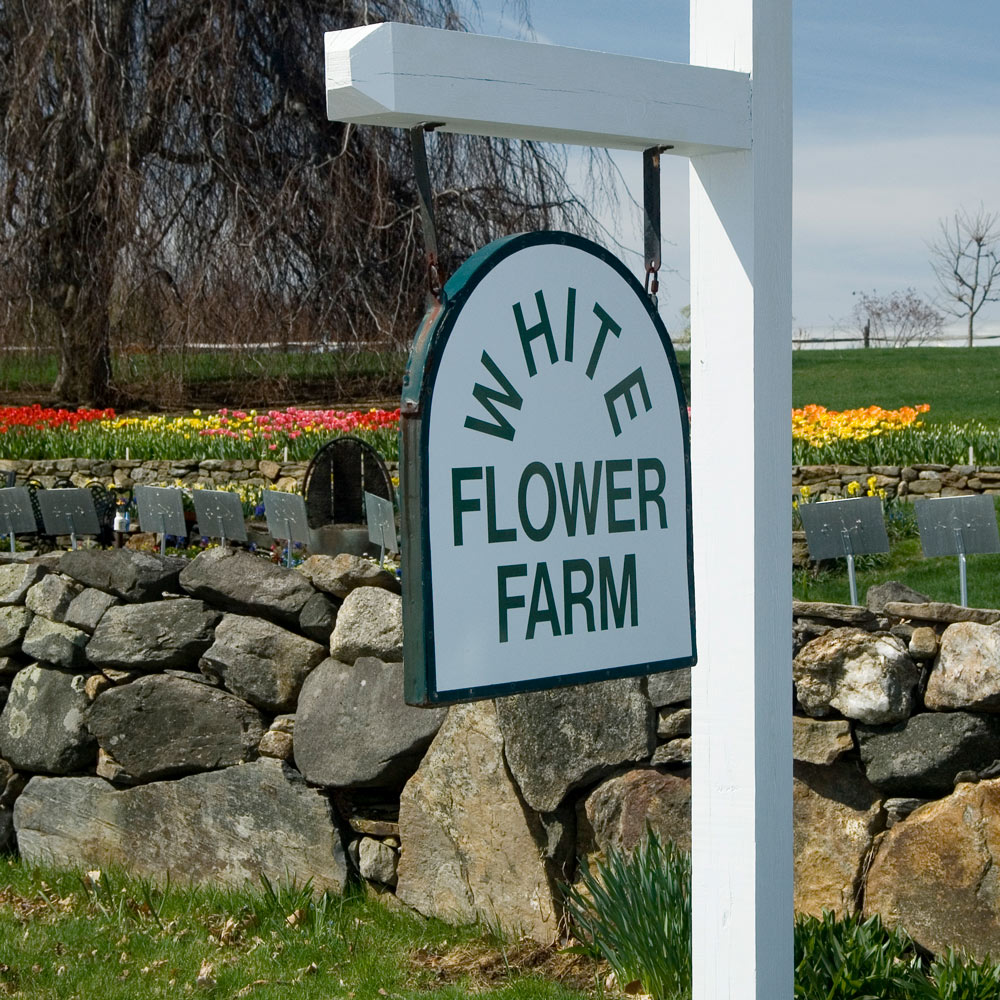 White Flower Farm store sign